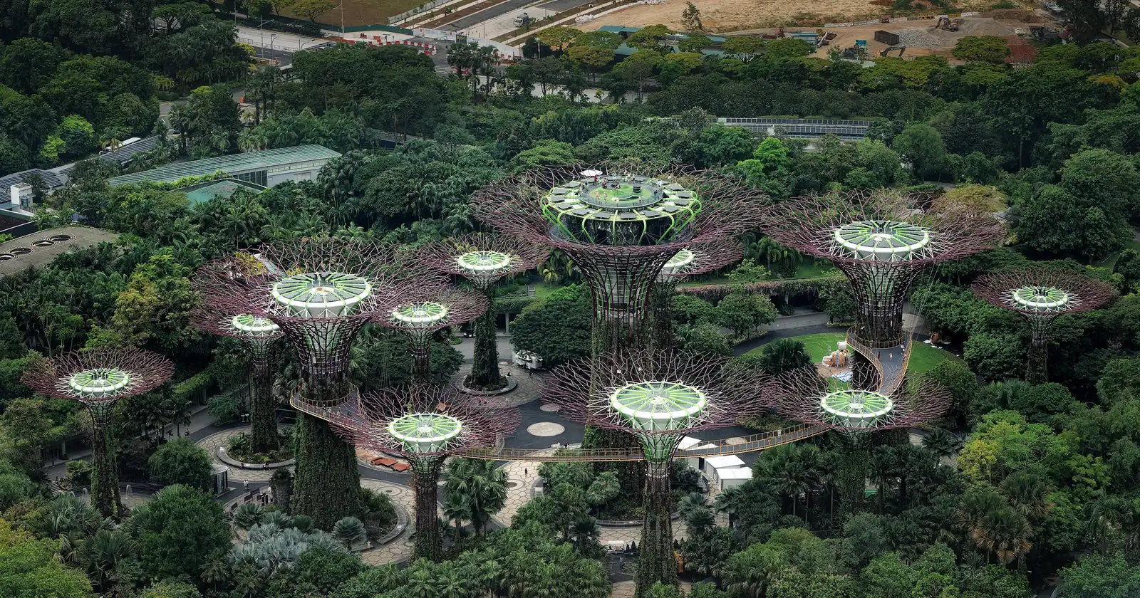 Supertree Grove at Gardens by the Bay, with tall illuminated tree structures rising above the garden canopy