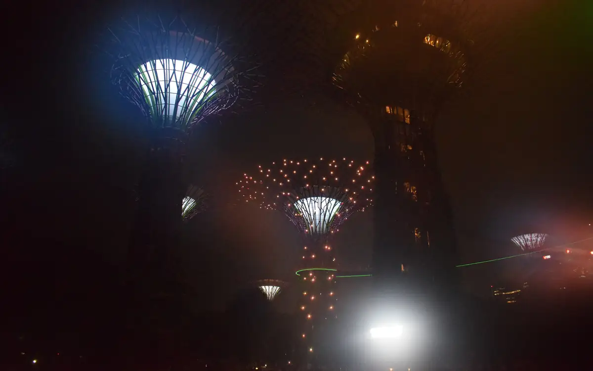 The Gardens by the Bay Supertrees at night, their canopies glowing and laser lines crossing the dark sky above the garden
