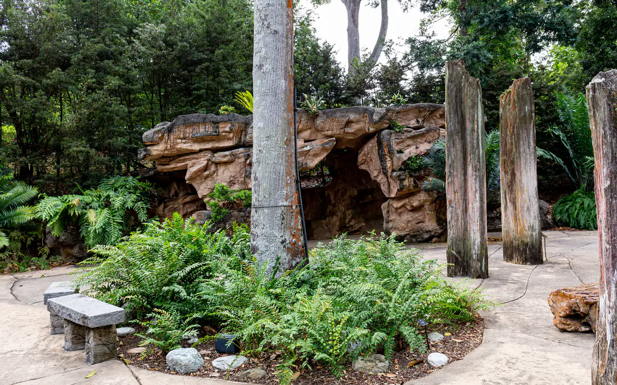 A shaded garden corner in the Singapore Botanic Gardens, with ferns, a rock outcrop and tree trunks