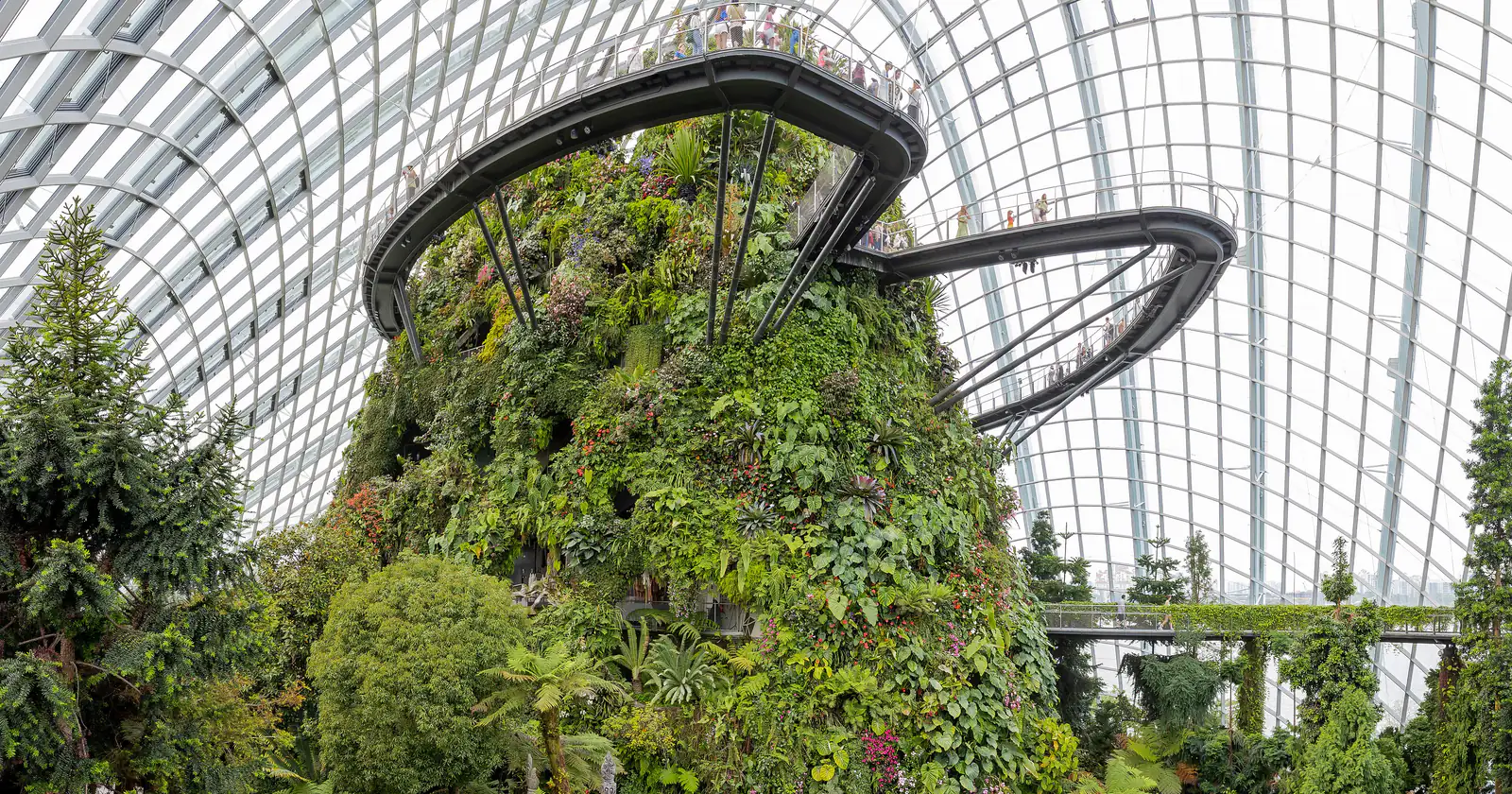 The Cloud Forest at Gardens by the Bay, with a tall mountain of plants beneath a glass dome and walkways curving around it