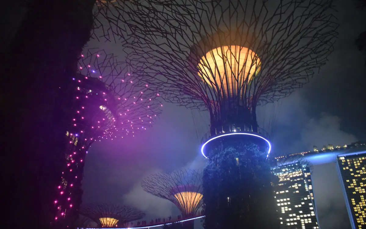 The Supertree Grove at Gardens by the Bay during a night light show, with glowing canopies above the walkways