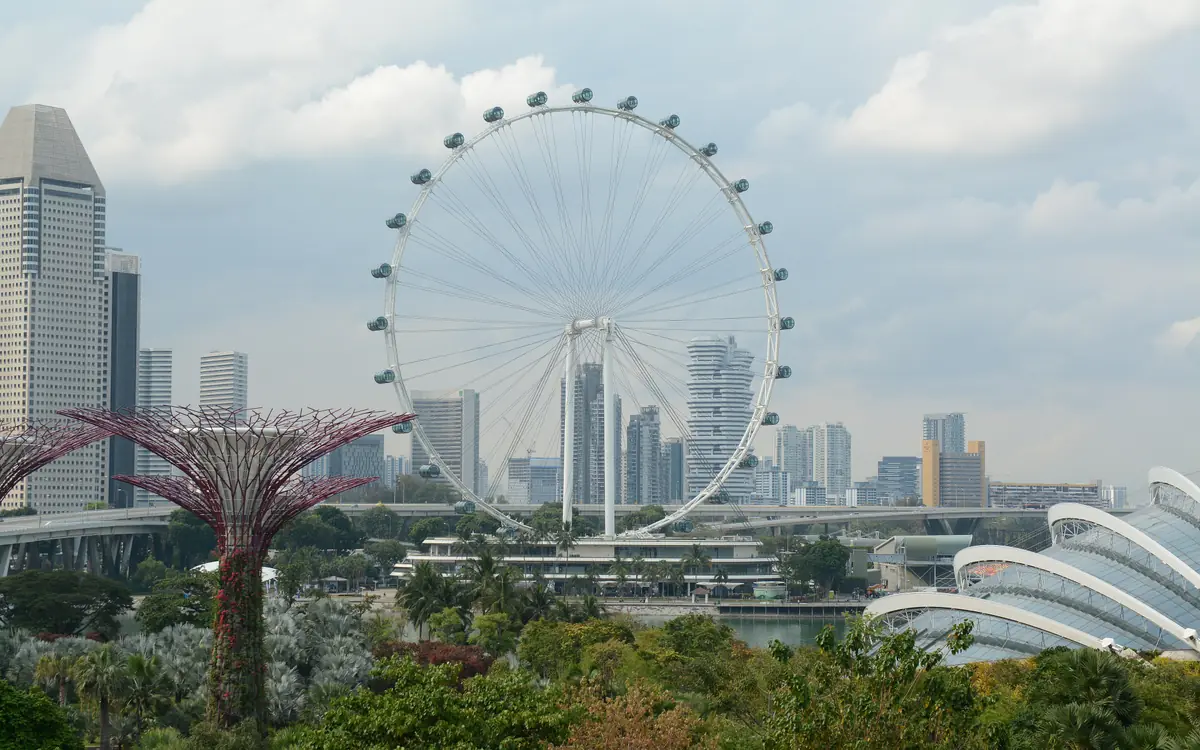 The Singapore Flyer wheel rising above the Supertrees at Gardens by the Bay, with the Flower Dome at right