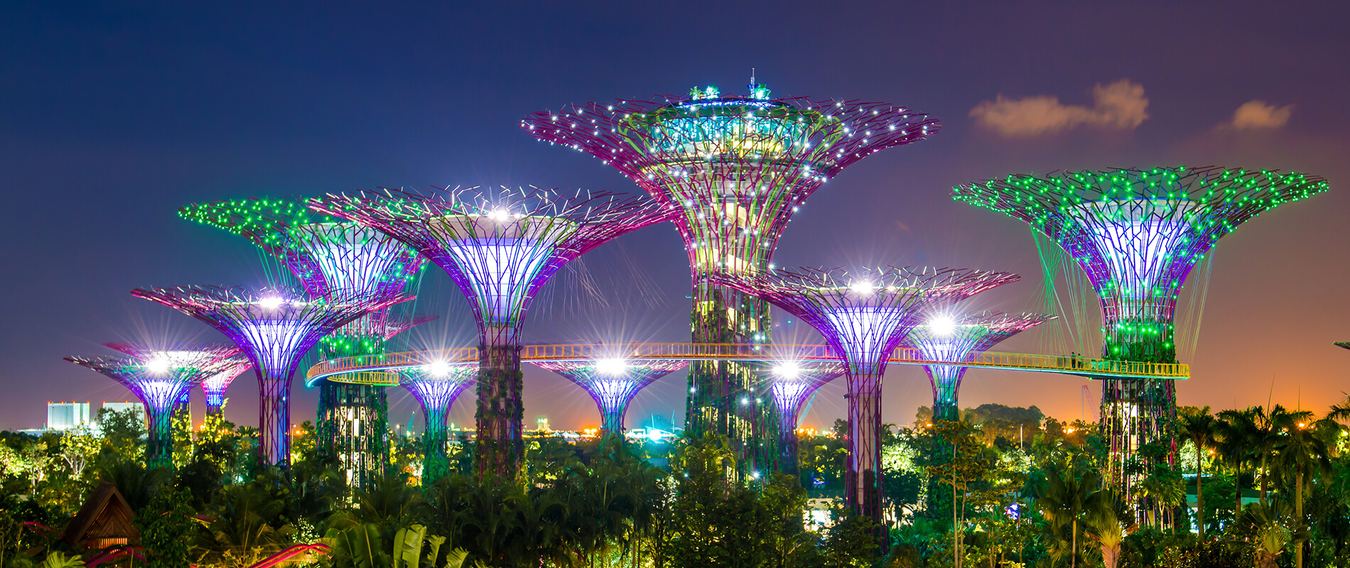 Gardens by the Bay